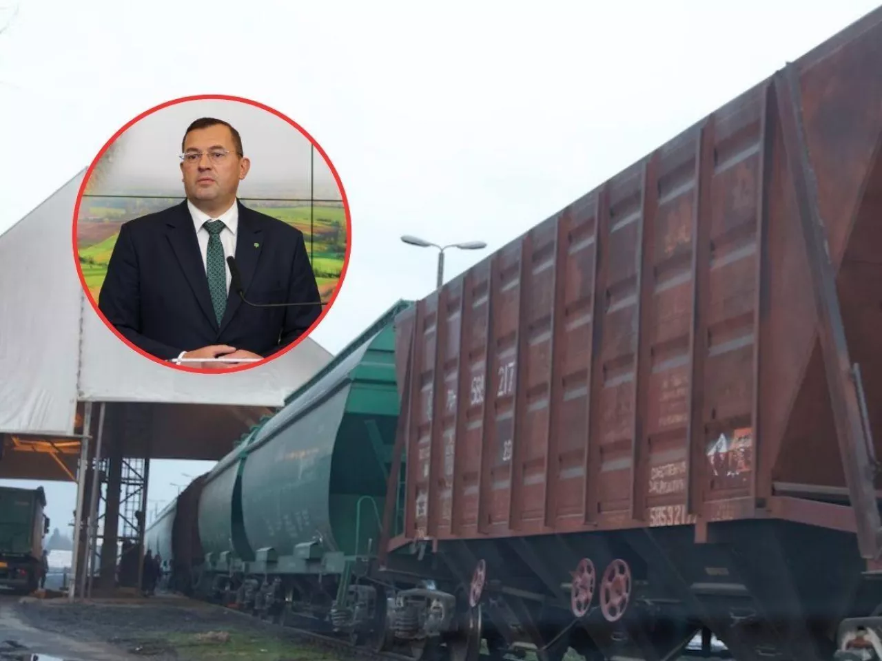 Embargo na ukraińskie zboże będzie zniesione? Minister Krajewski stawia warunek Brukseli