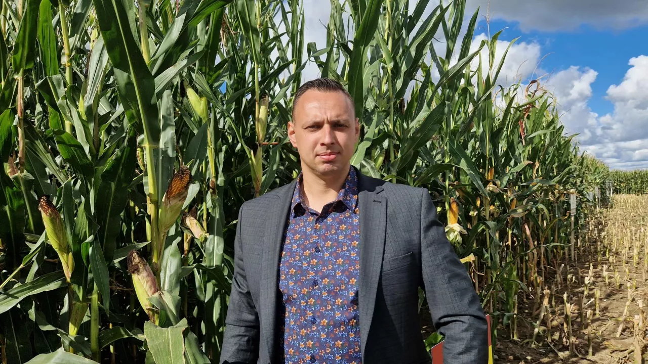 agronom na tle plantacji kukurydzy