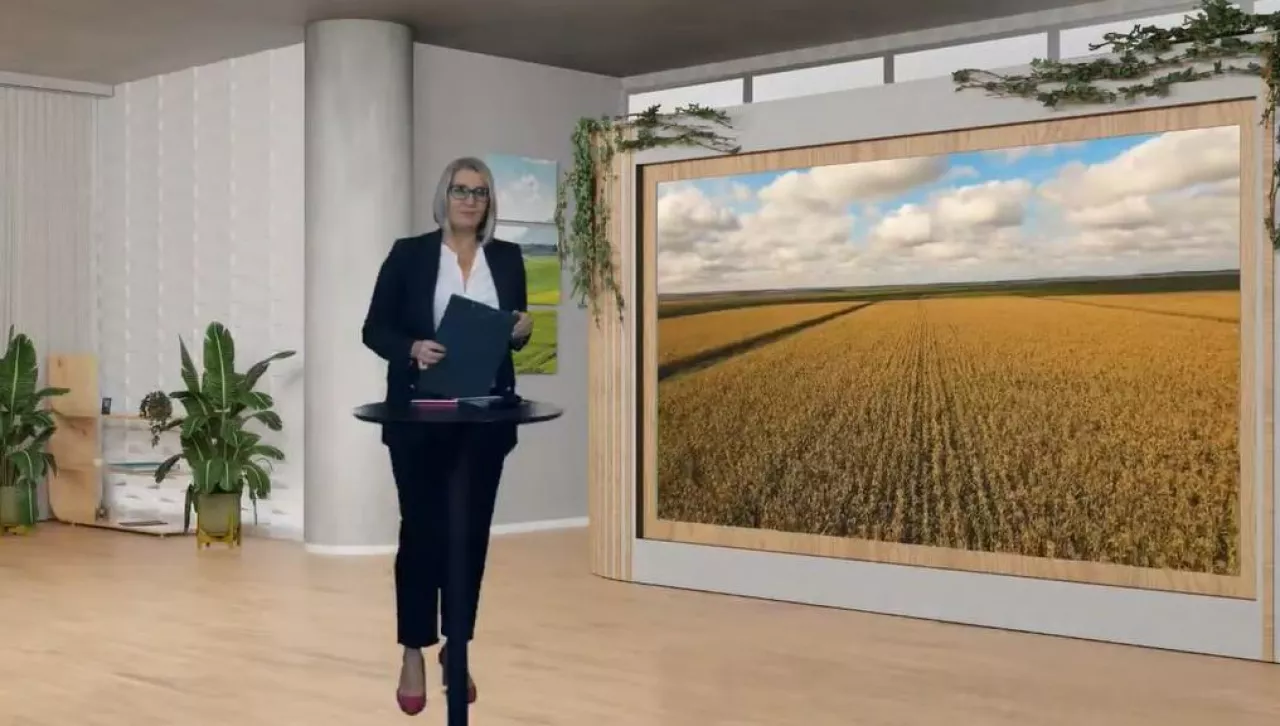 Trwa webinarium na temat tegorocznego, trudnego sezonu w uprawie kukurydzy.