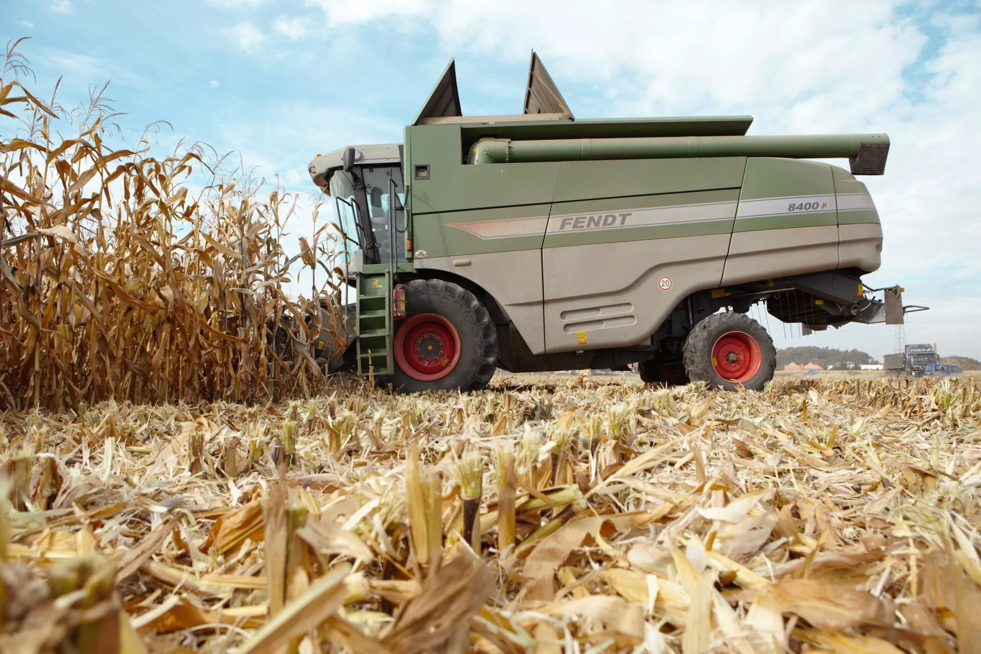 Kukurydza 2025: jak idą żniwa? Wilgotność wysoka, cena lokalnie do 500 zł/t [RAPORT Z PÓL]