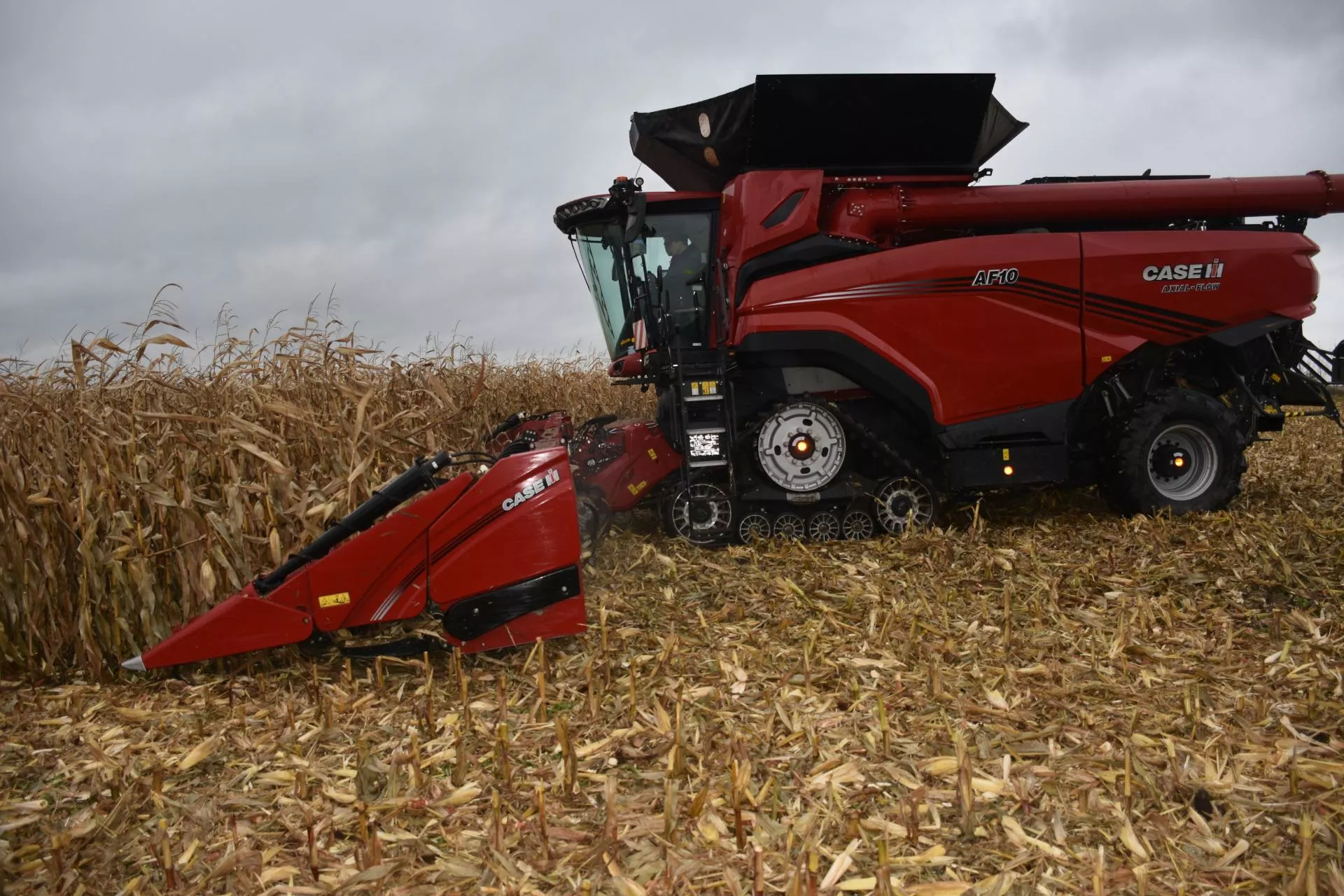 775 KM i jeden rotor. Ten kombajn Case IH robi robotę za kilka maszyn