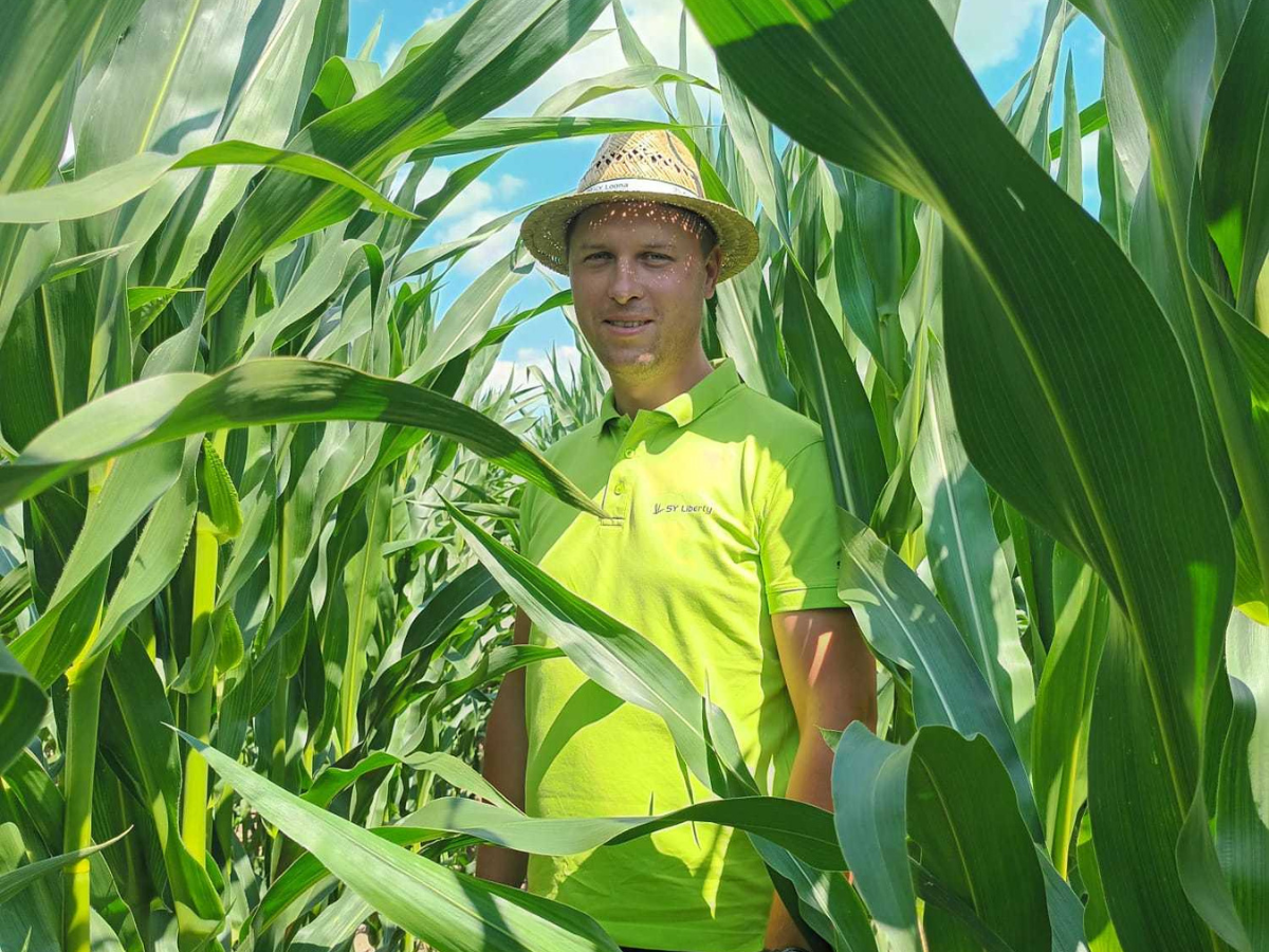 Kukurydza walczyła o przetrwanie. Jaki był ten sezon?
