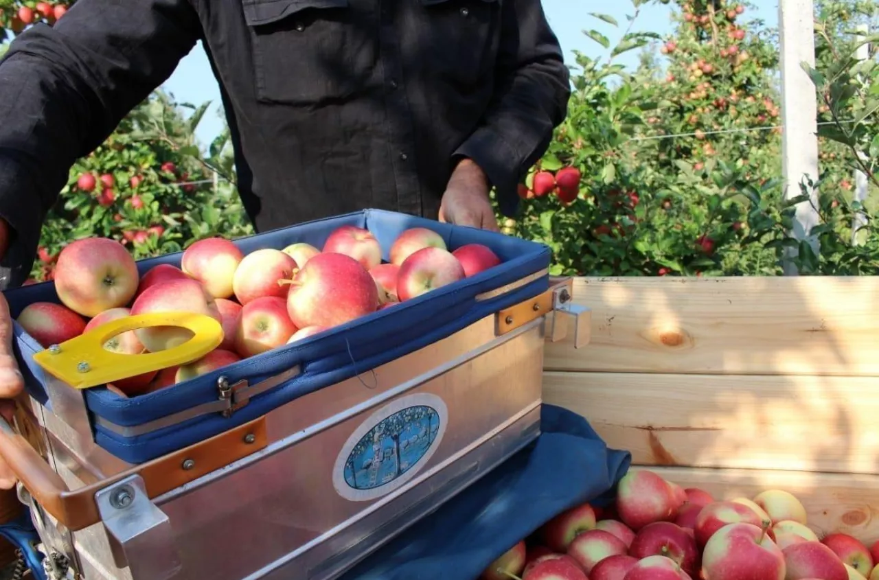 Skarbówka chce podatek za samozbiory. Minister rolnictwa: będę interweniować