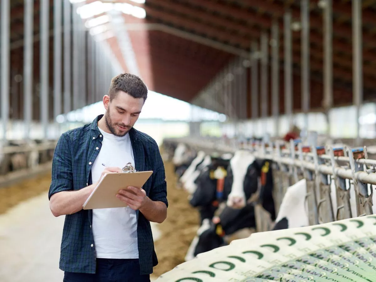 Zaliczki dopłat 2025 wypłacone. Prawie wszyscy rolnicy dostali pieniądze