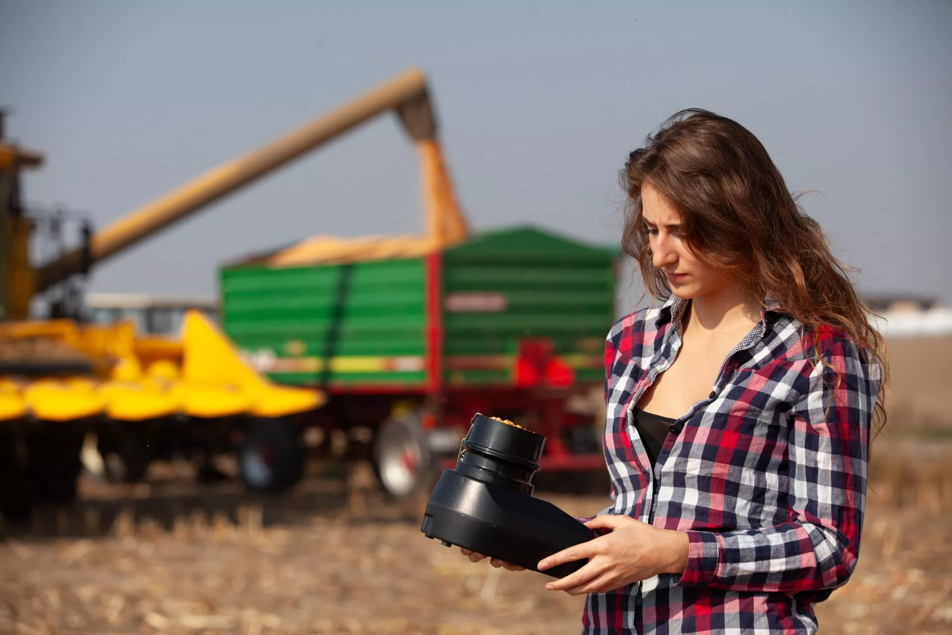 Rolnicy oburzeni pomiarem wilgotności kukurydzy. „Ta sama partia, a w skupach różnica 6 proc.”