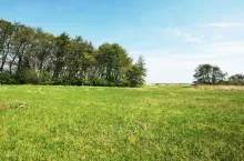 trwałe użytki zielone