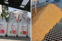 Jaka jest sytuacja na rynkach rolnych 7.11.2025?