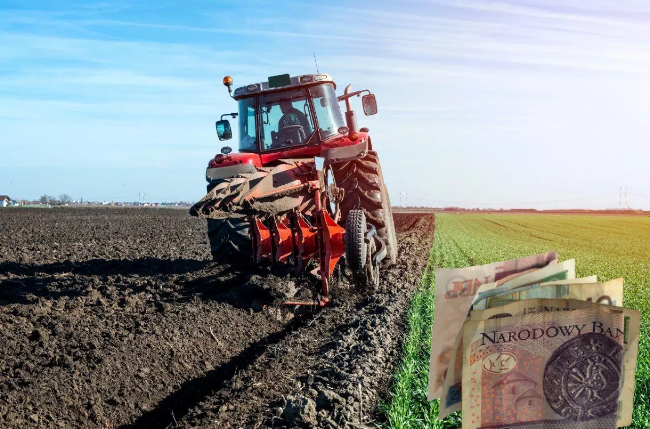 570 ha ziemi po Top Farms do wzięcia. Koniec licytacji, czynsze dużo niższe