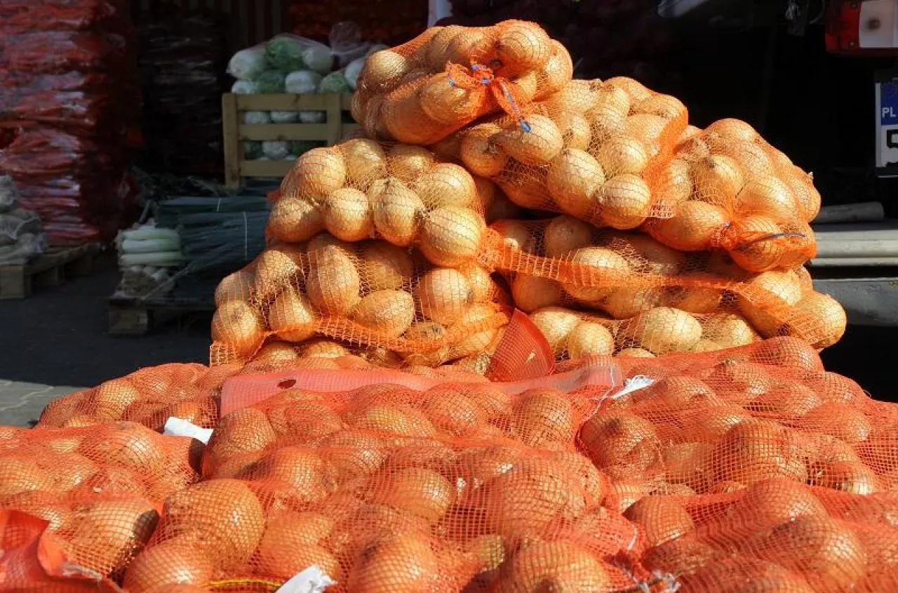 Polska sprzedała ponad 100 tys. ton cebuli. Kto kupił najwięcej?
