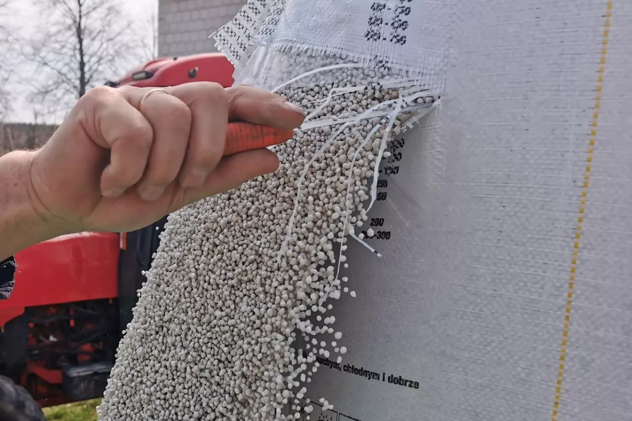 Ile dziś kosztuje saletra, mocznik i polifoska?