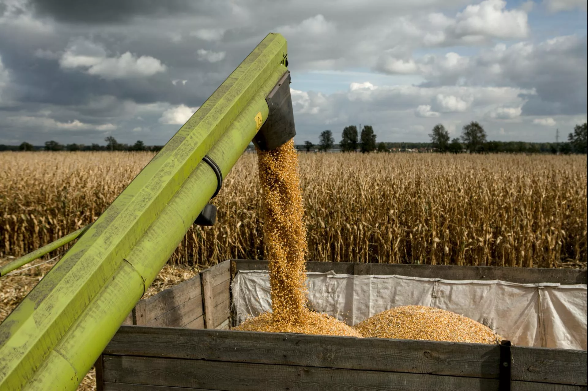 Wartość produkcji rolnej w Polsce mocno w górę. A Europa na minusie