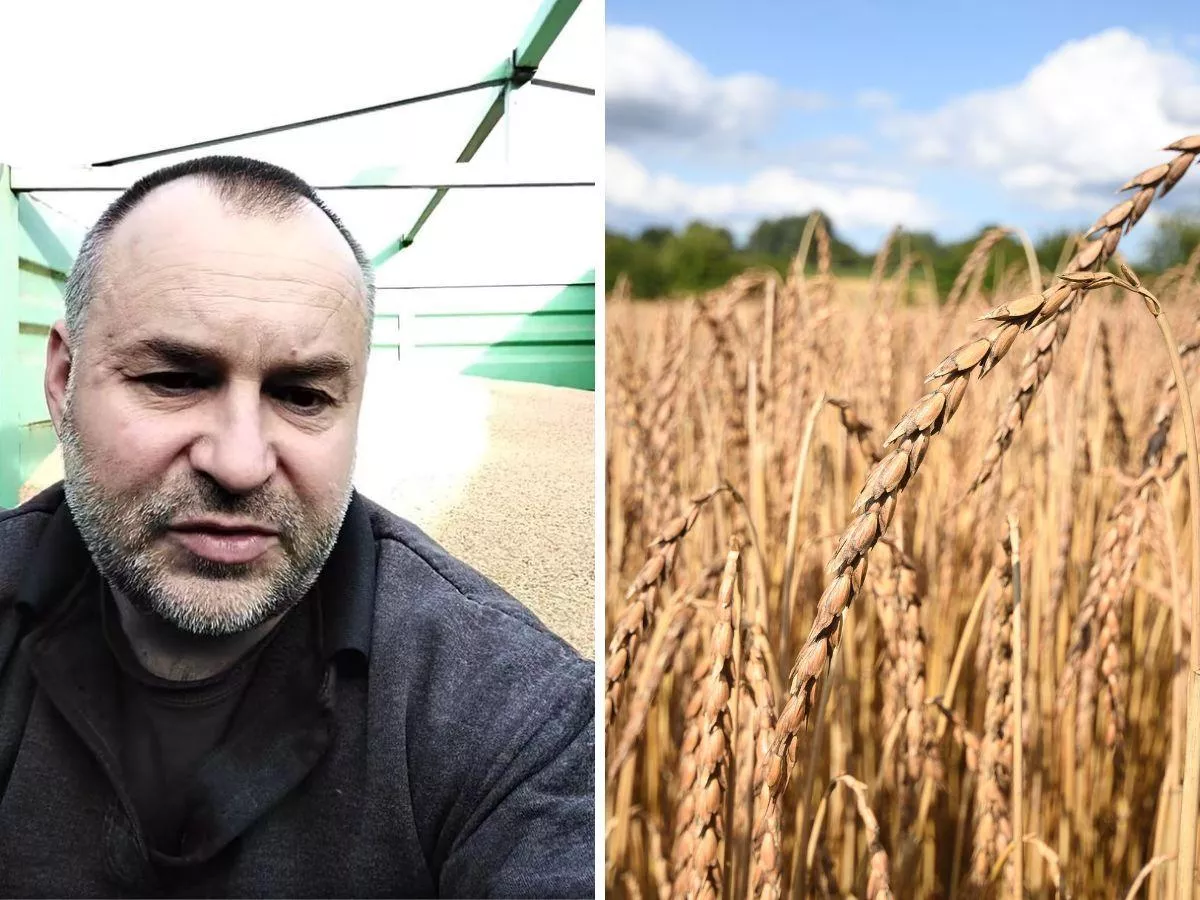 7000 zł z tony zboża? Rolnik z Pomorza znalazł sposób [WIDEO]