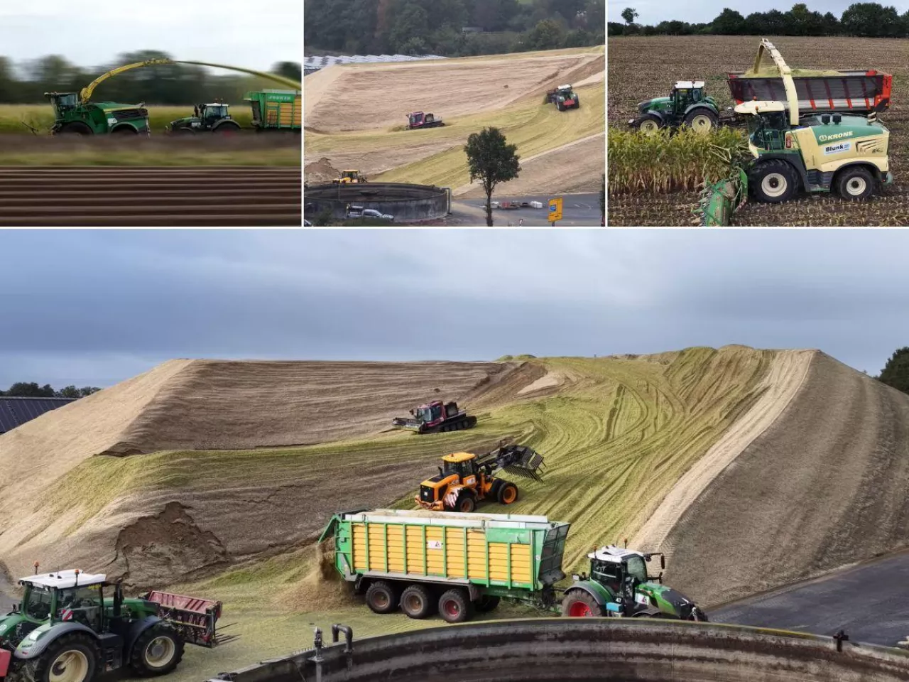  50 tysięcy ton kukurydzy w jednym miejscu. Tak wygląda silos XXL