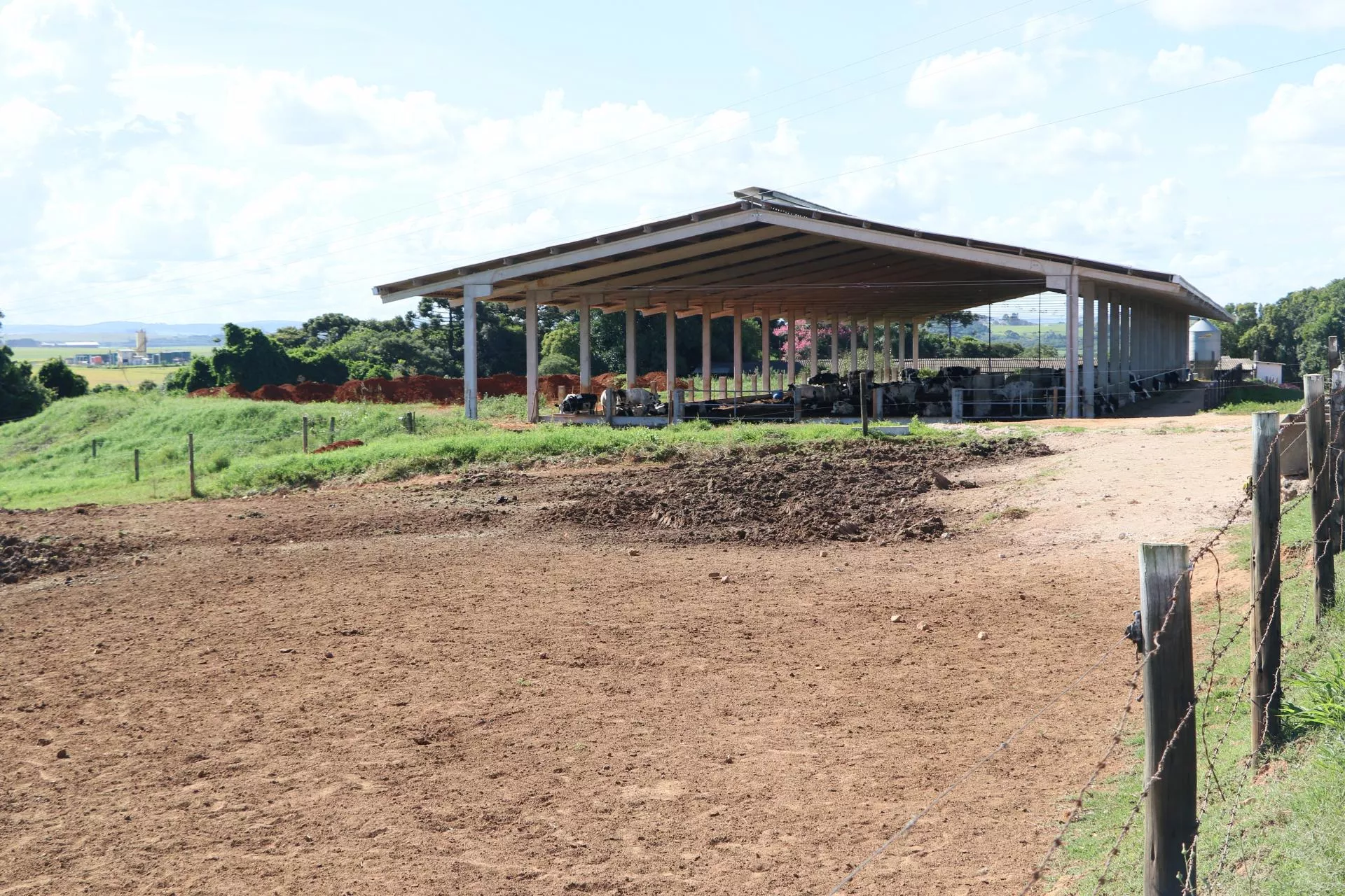 Jakie budowle w gospodarstwie zrobisz bez zgłoszenia? Rolnicy często o tym nie wiedzą