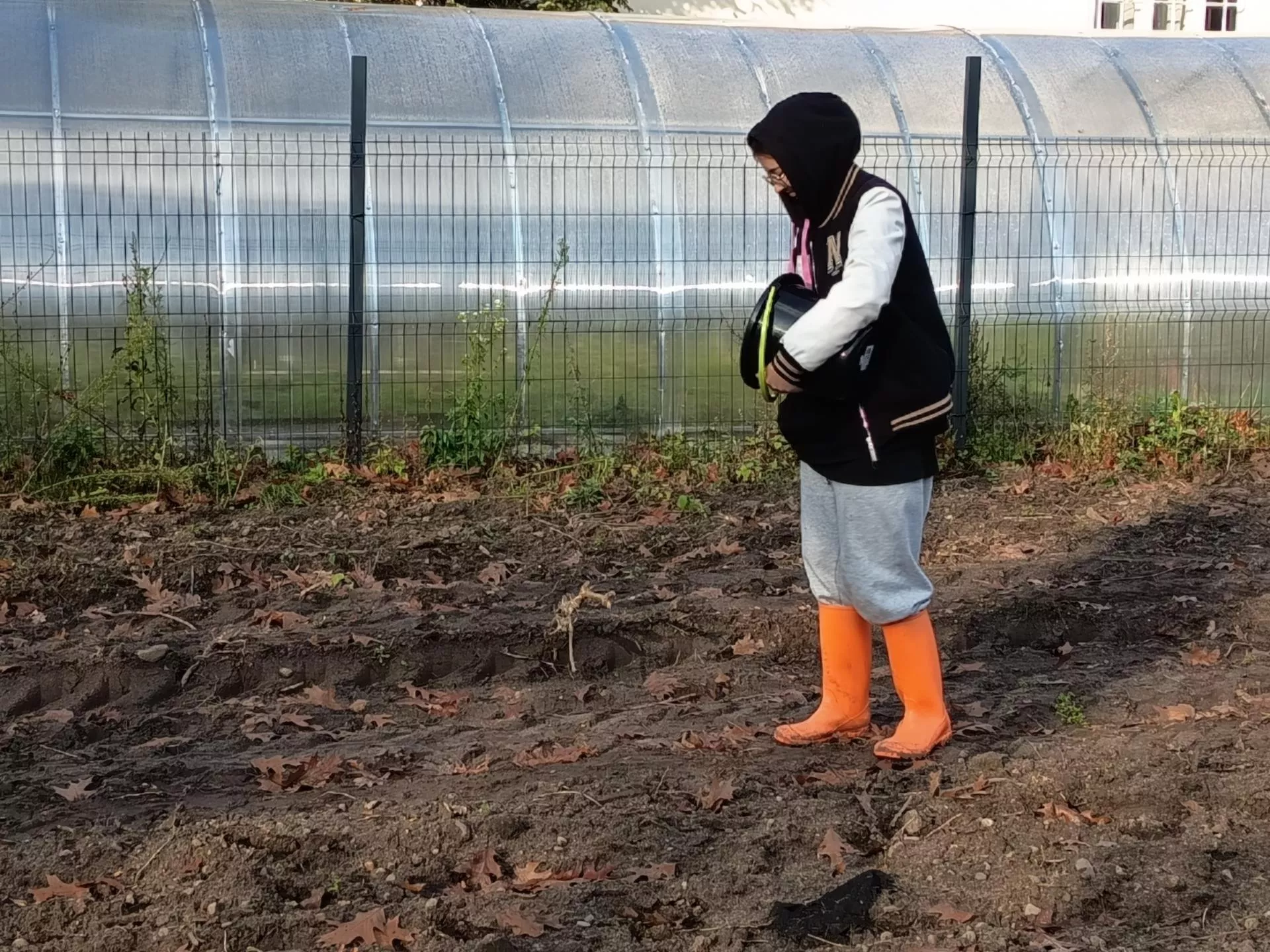 Jakie są potrzeby pokarmowe roślin? O tym nawożeniu zapomina wielu rolników