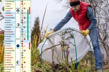 Kalendarz biodynamiczny na grudzień 2025. Kiedy podlewać i ciąć, a kiedy nic nie robić?