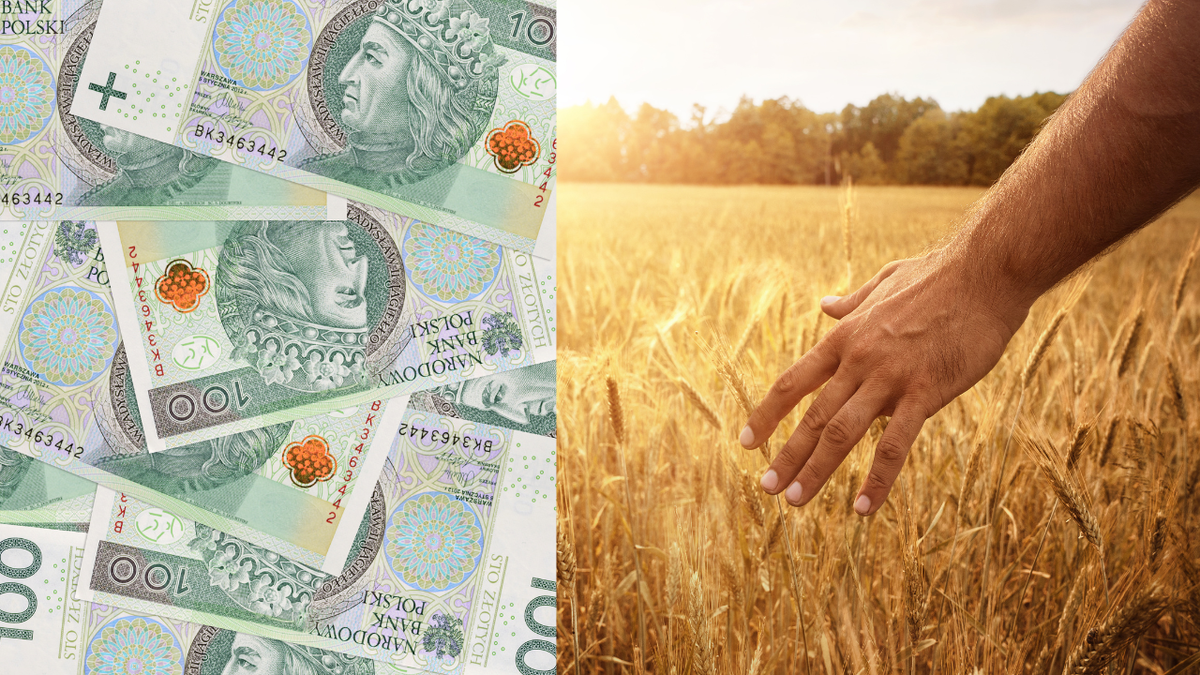 Gdzie są tanie kredyty? Rolnicy alarmują: to fikcja na konferencjach