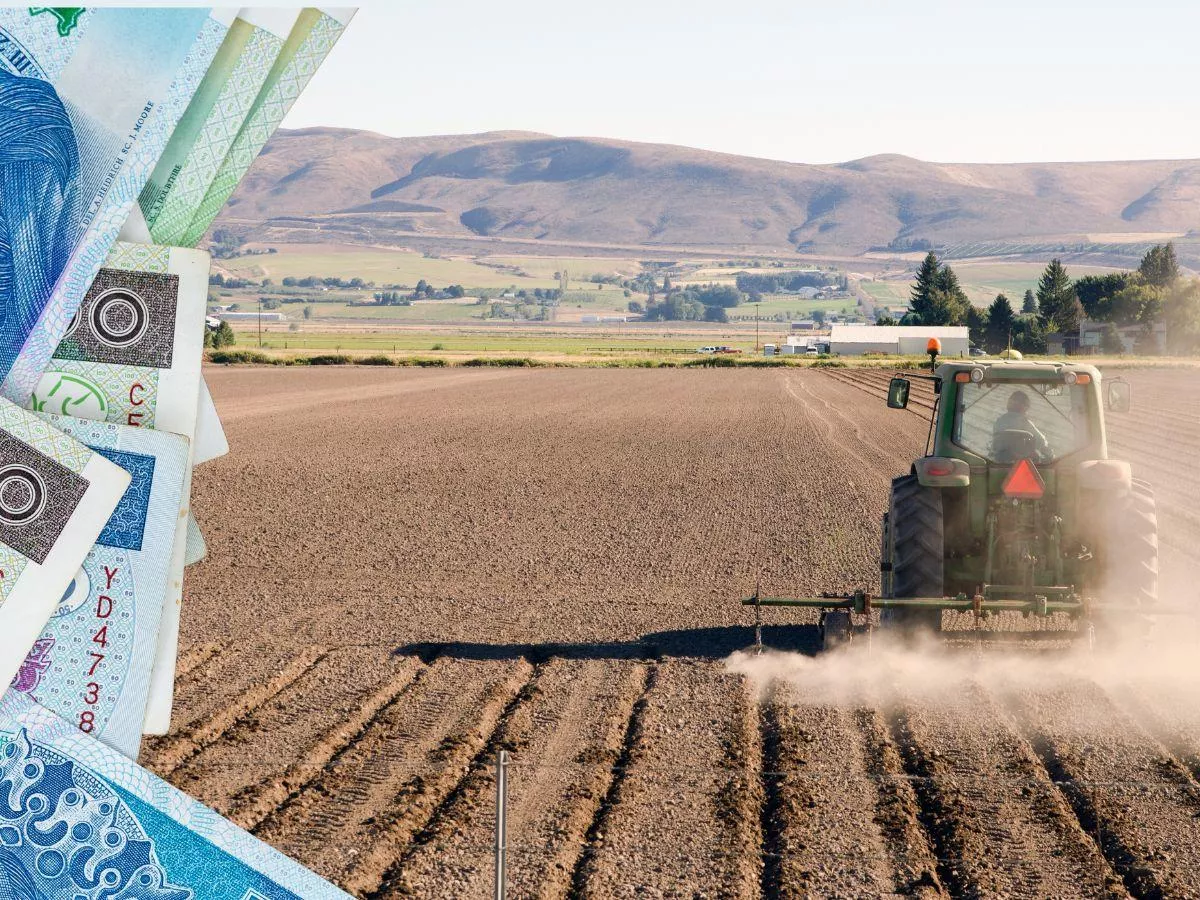 Dzierżawiłeś ziemię 10 lat? Sprawdź, czy masz prawo pierwokupu