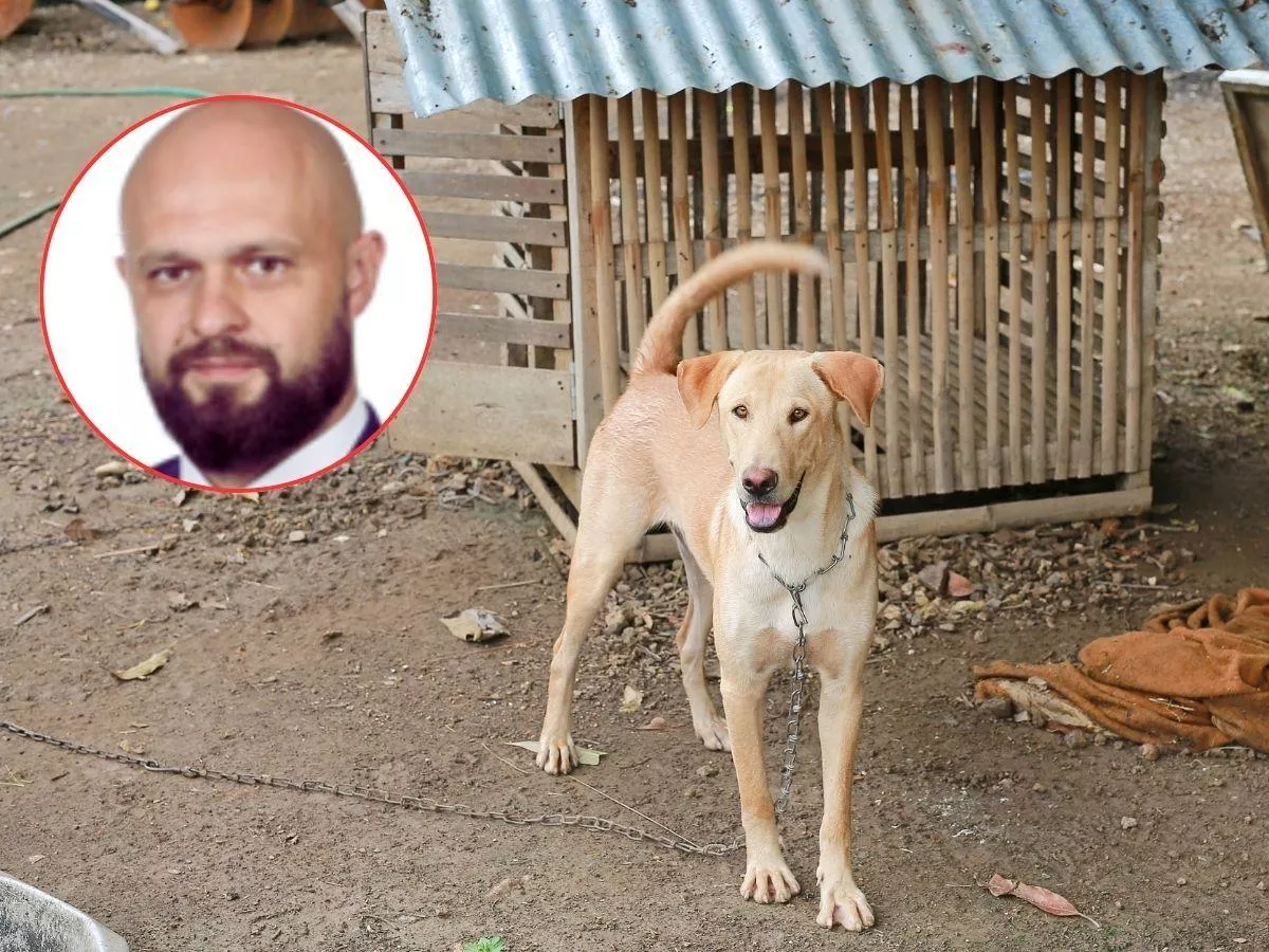 Zakaz trzymania psów na łańcuchach. Będą dopłaty dla rolników?