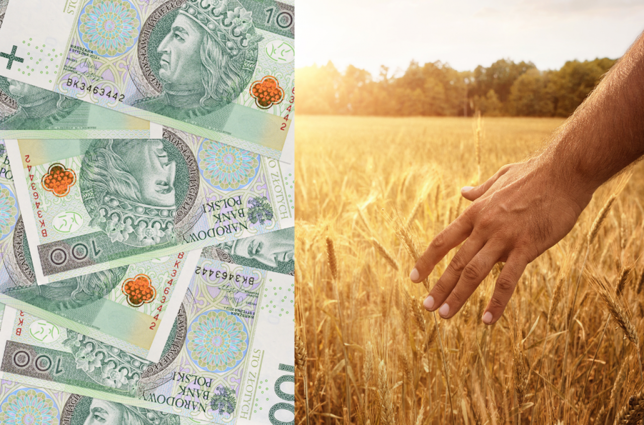 Gdzie są tanie kredyty? Rolnicy alarmują: to fikcja na konferencjach