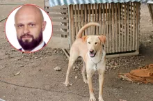 Zakaz trzymania psów na łańcuchach. Będą dopłaty dla rolników?