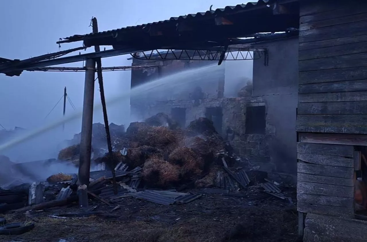 Pożar gospodarstwa pod Kościerzyną. Spłonęły świnie i bydło