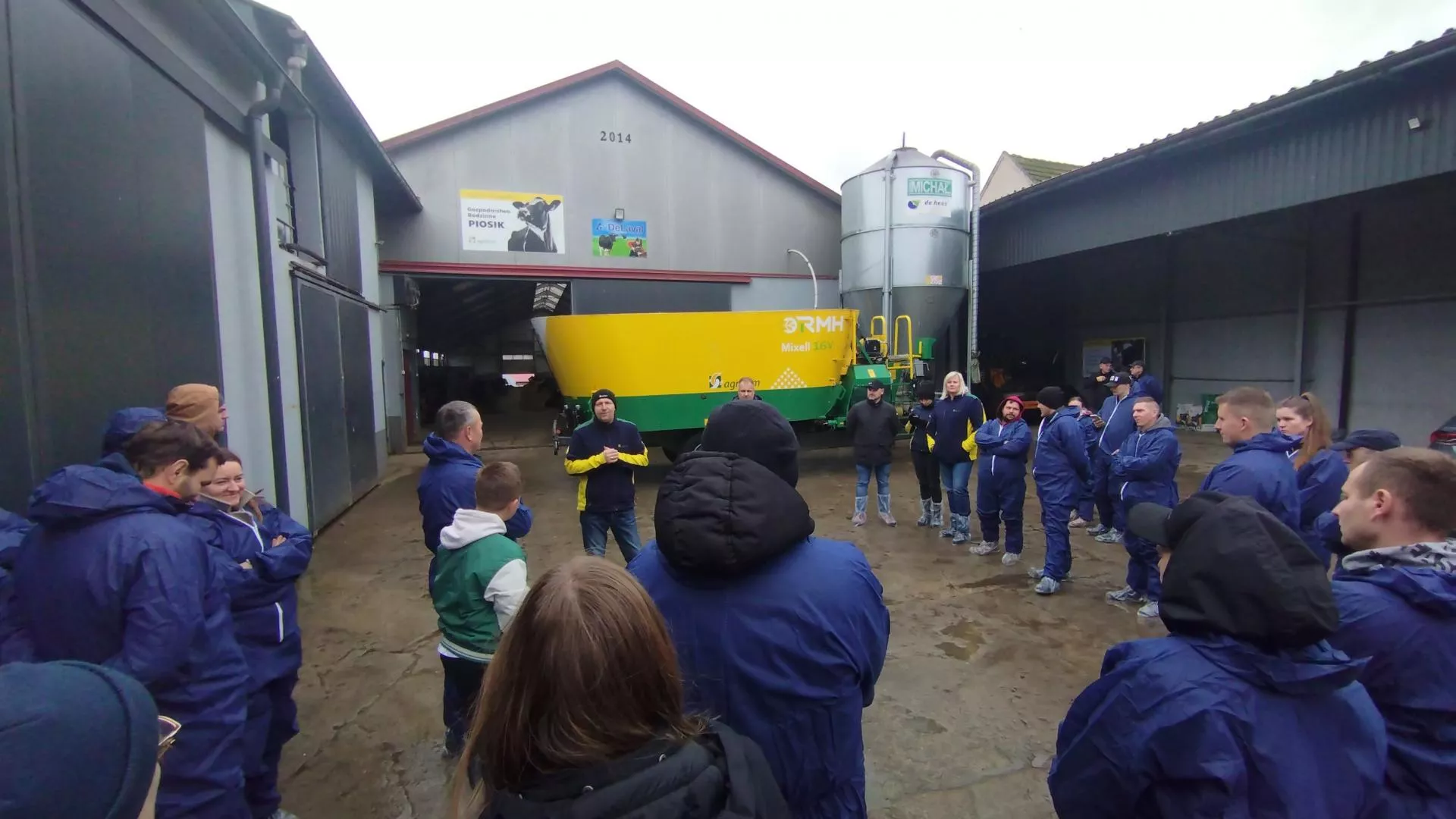 Litr mleka za godzinę leżenia? Rolnicy sprawdzili nowy system żywienia krów