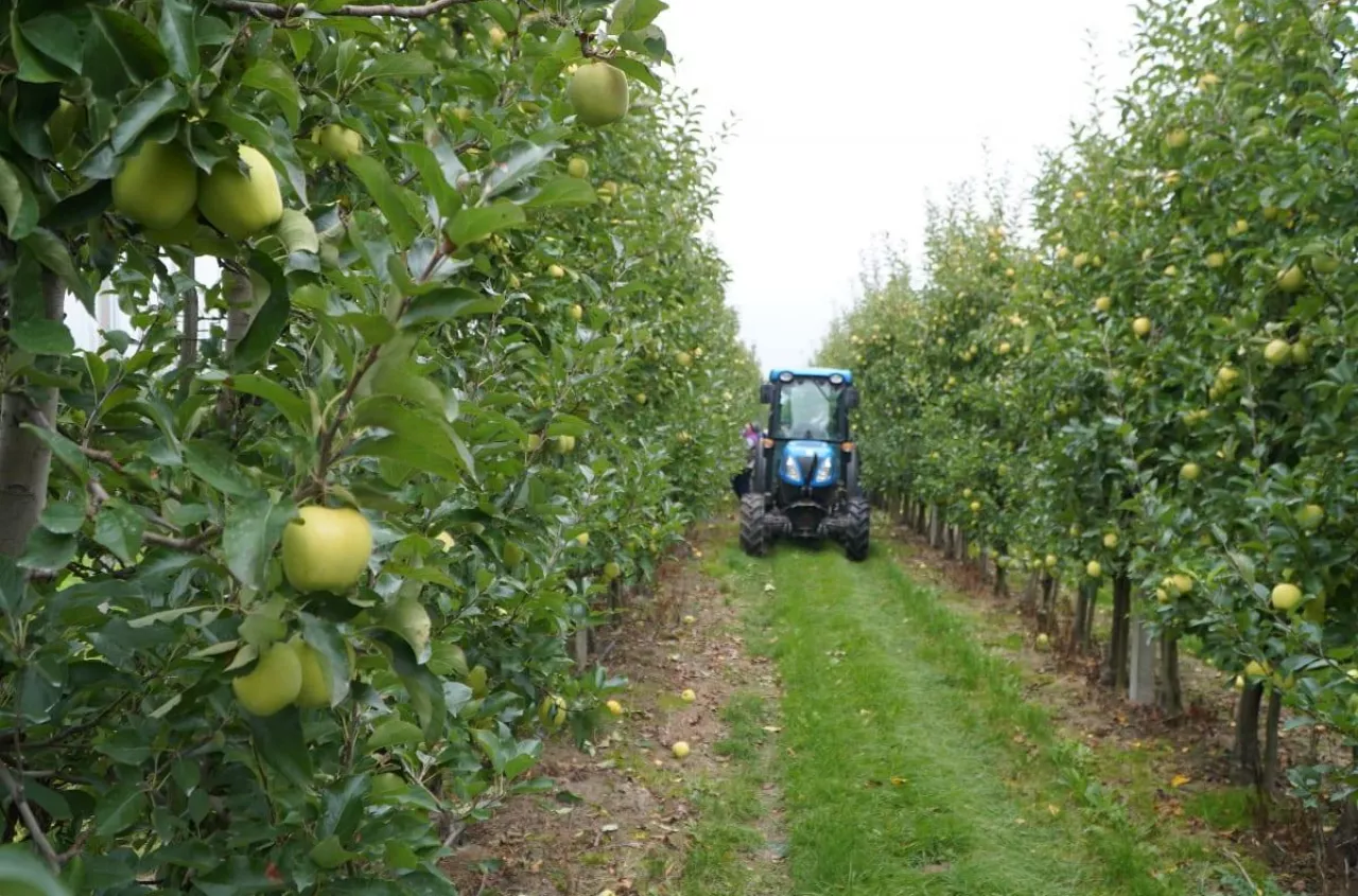 Rolnicy: nie da się ubezpieczyć upraw. Ministerstwo zapowiada zmiany w przepisach