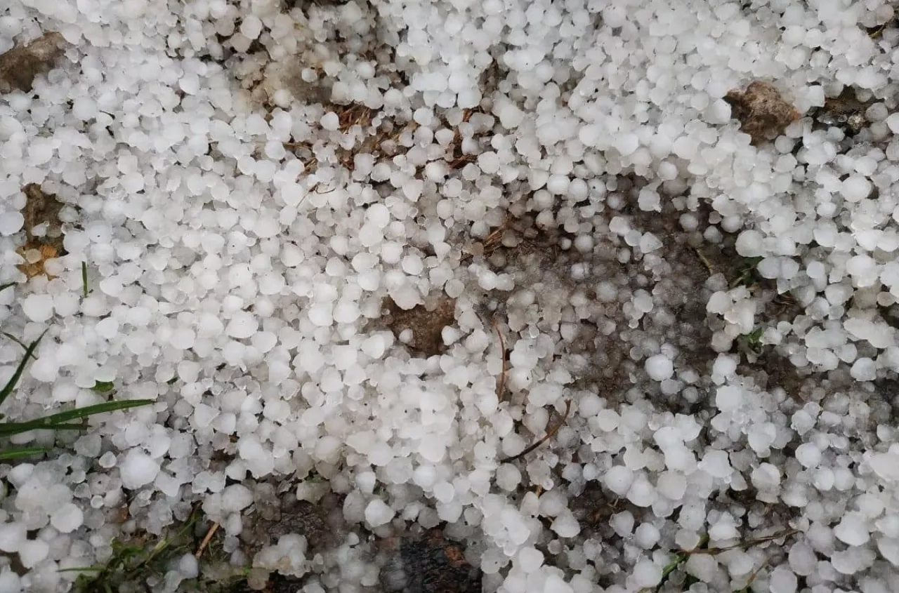 Grad zniszczył pole, a ARiMR tnie pomoc o 50%. Czy rolnik może się bronić?