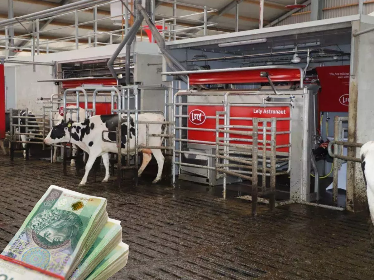 300 tys. zł dotacji na kombajny, roboty udojowe i wozy paszowe. Ruszył nabór w ARiMR