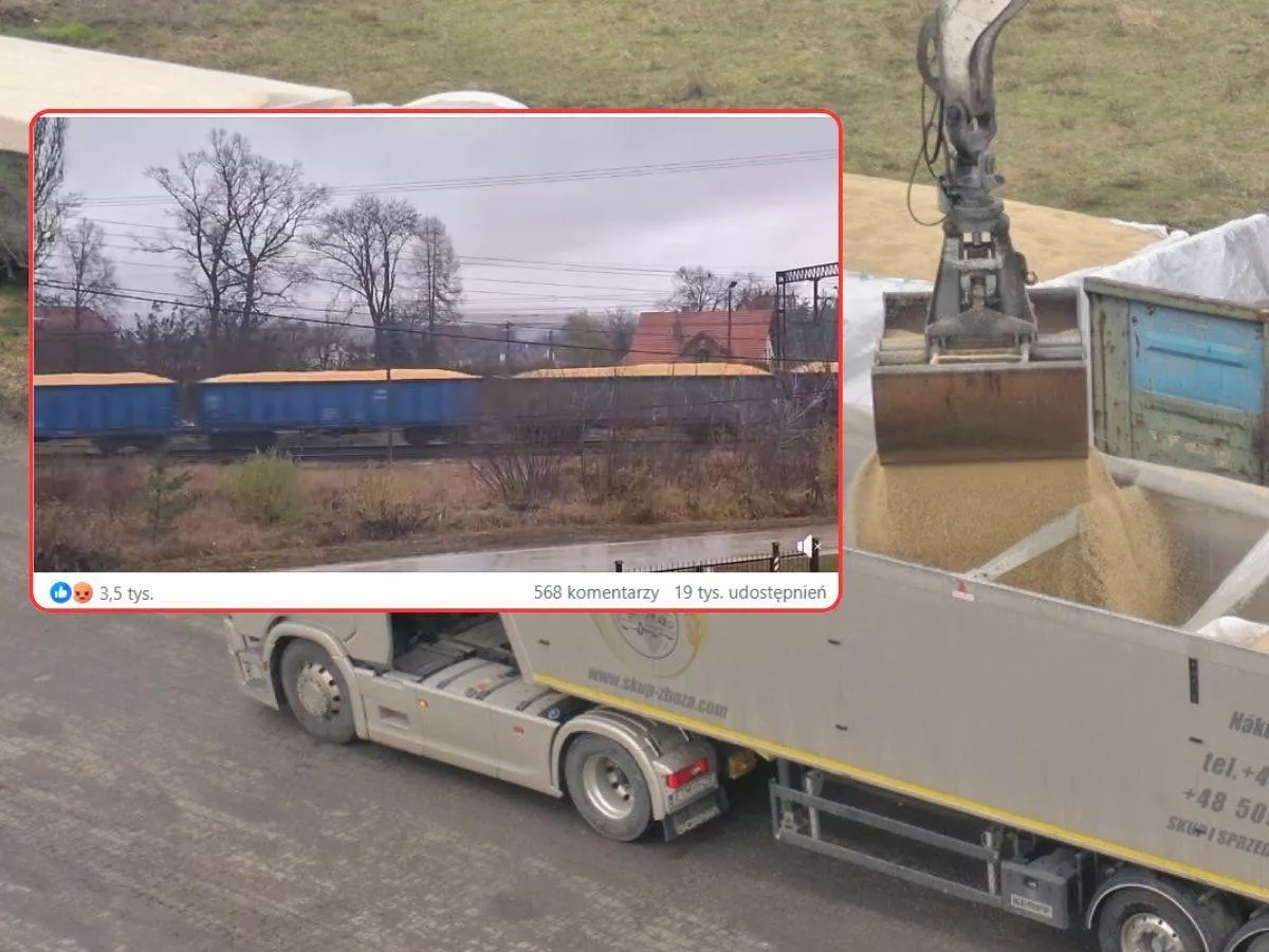 Rolnik nagrał wagony z odkrytą kukurydzą. Minister Krajewski: sprawdzamy to