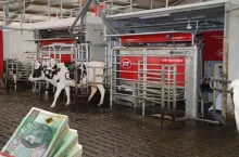 Dotacje z ARiMR, Lely