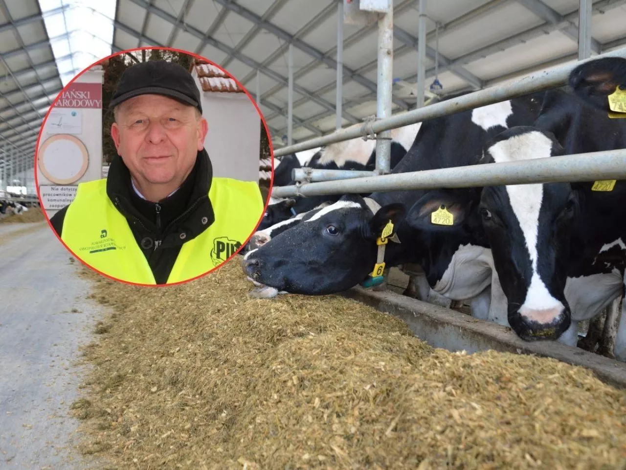 Apel o premię dla młodego rolnika