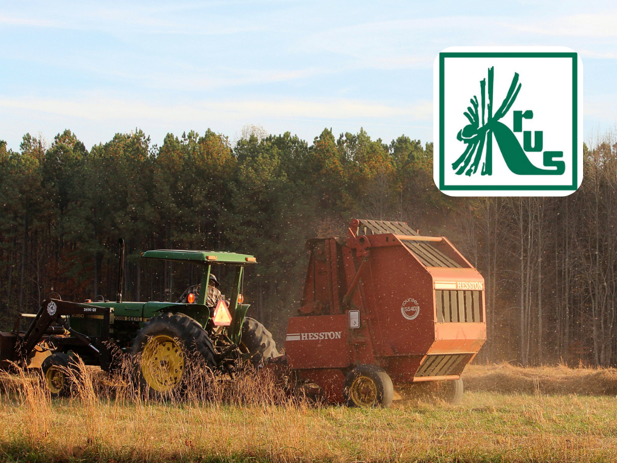Rolnik ma firmę i przez cały czas jest w KRUS? Sprawdź, kiedy to możliwe