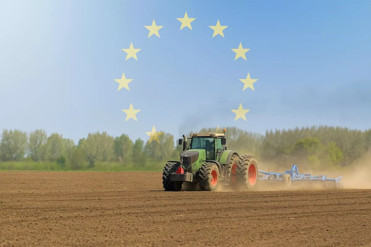 Rolnik z Mazowsza alarmuje: tani import zabija polskie mleko