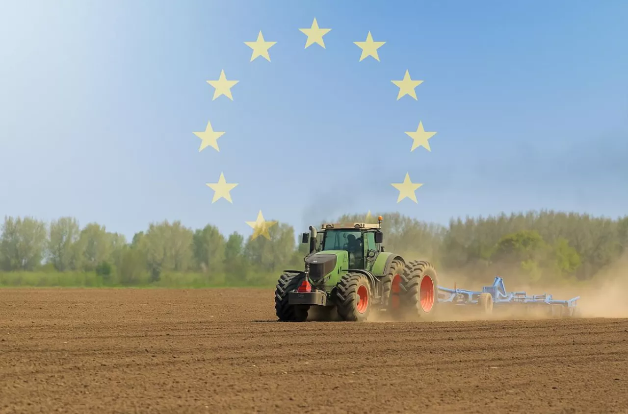 Rolnik z Mazowsza alarmuje: tani import zabija polskie mleko