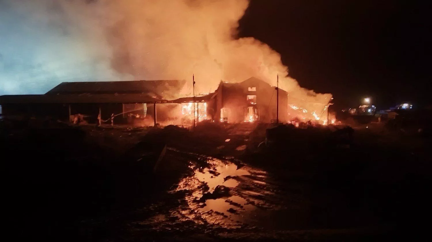 Pożar zabrał rolnikom wszystko w jedną noc. Walczą, by odbudować gospodarstwo