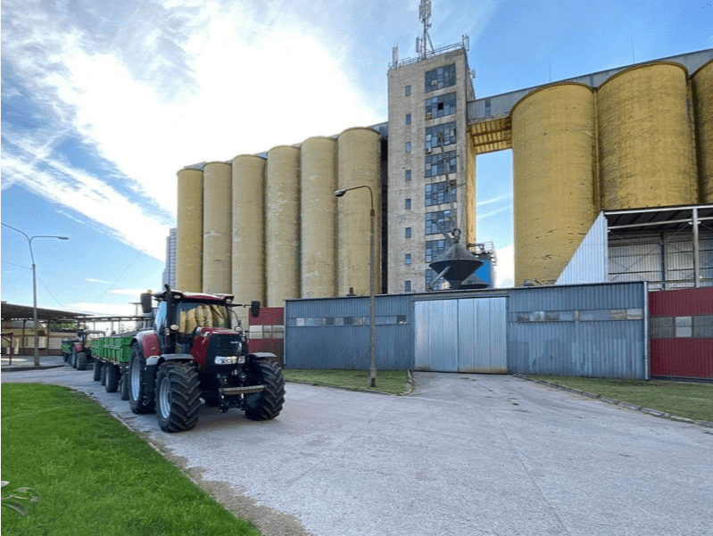Pszenica drożeje choćby o 50 zł. Sprawdź najnowsze ceny zbóż i rzepaku w Polsce [SONDA]