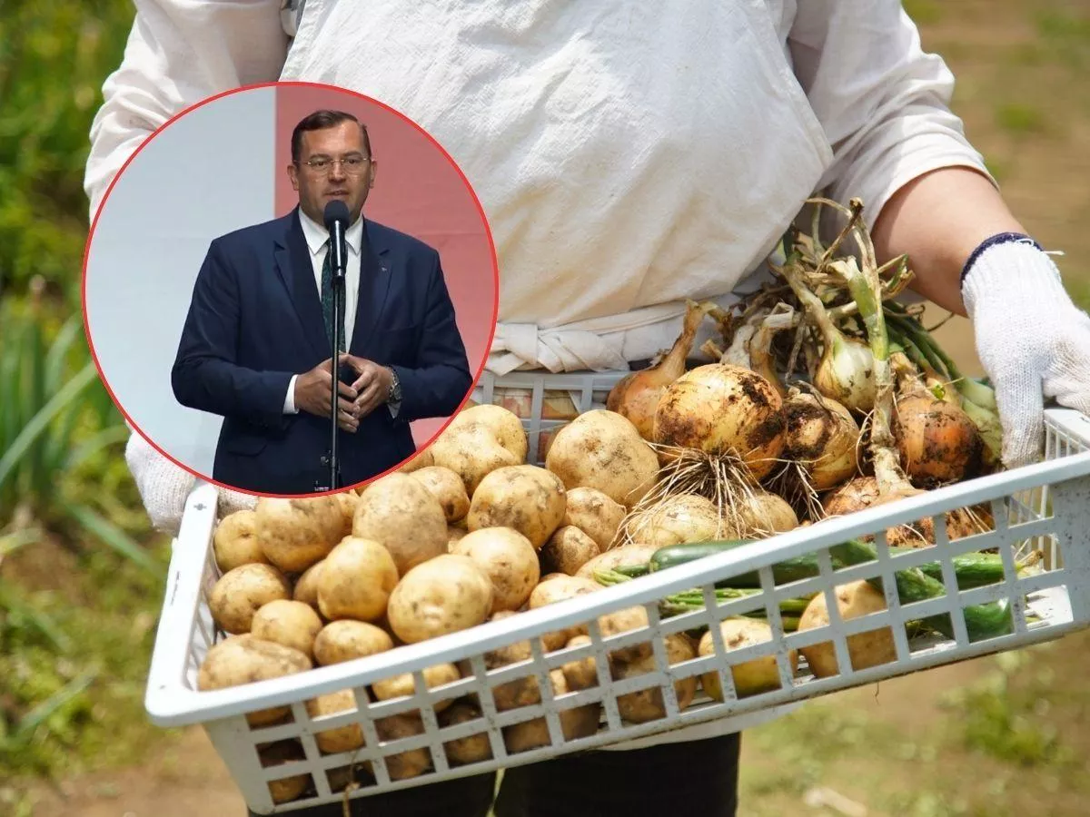 Rolnicy nie zapłacą podatku od samozbiorów? Minister reaguje