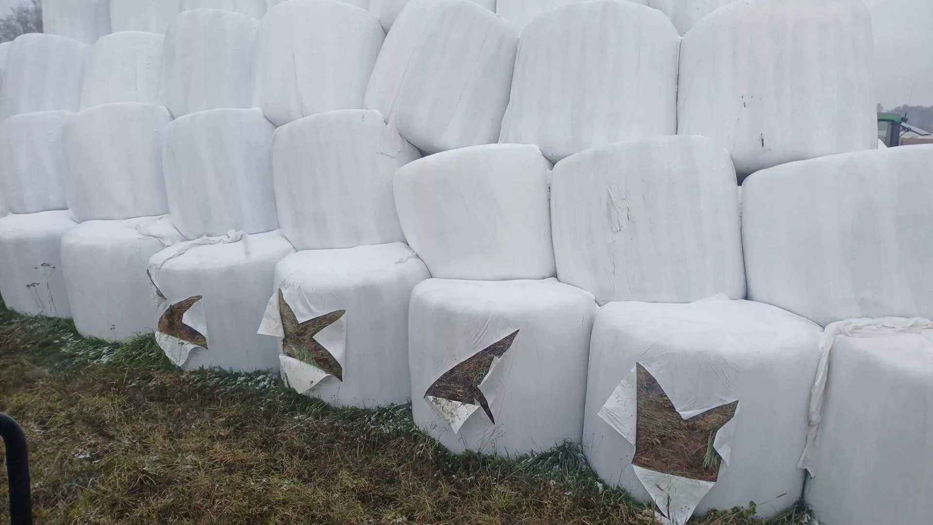 Ktoś pociął rolnikowi baloty. "Czym mam karmić moje krowy?"