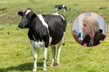 Ceny mleka lecą w dół. Co zrobi rząd, by ratować rolników?
