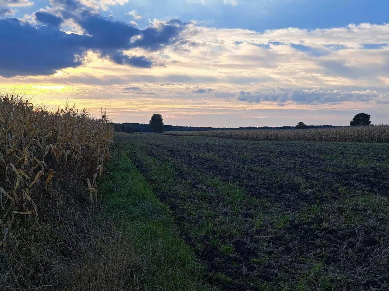 Czy małżeństwo może wspólnie kupić ziemię czy musi to zrobić tylko ta osoba, która ma status rolnika?