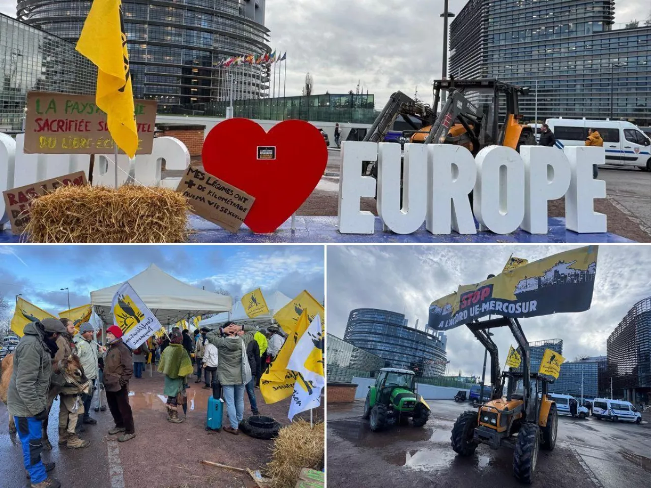 Protest rolników przed Parlamentem Europejskim. ”Tej walki nie możemy przegrać”