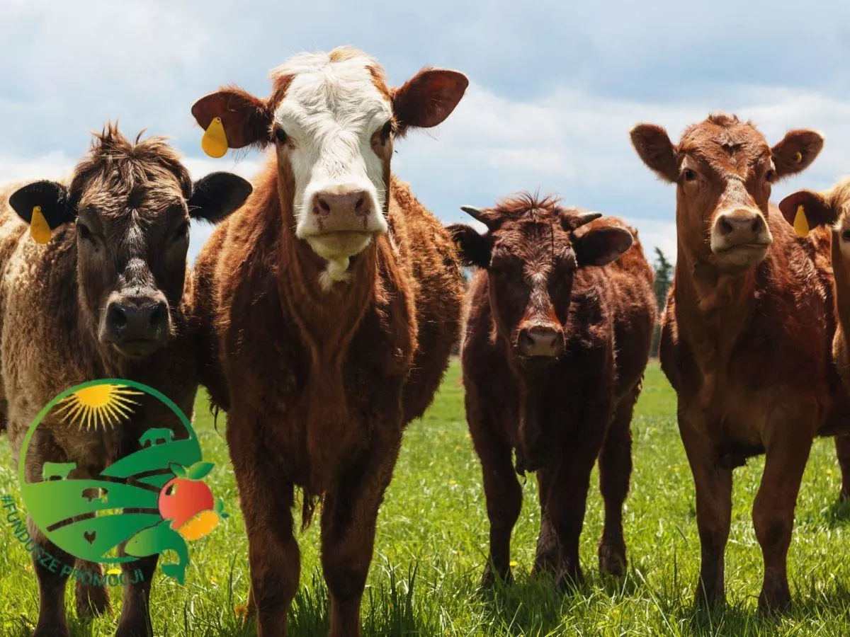 Co UE szykuje dla rolników? W tle rekordowe pieniądze