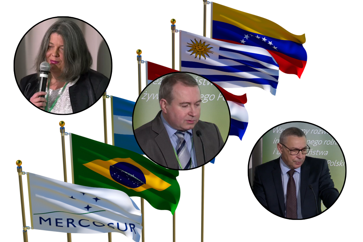 Czy polski rolnik wytrzyma konkurencję z Mercosur? Analiza ekspertów