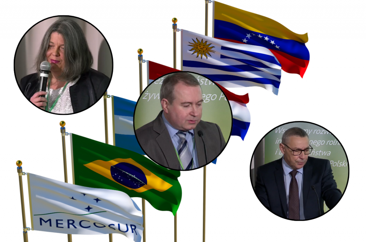 Czy polski rolnik wytrzyma konkurencję z Mercosur? Analiza ekspertów