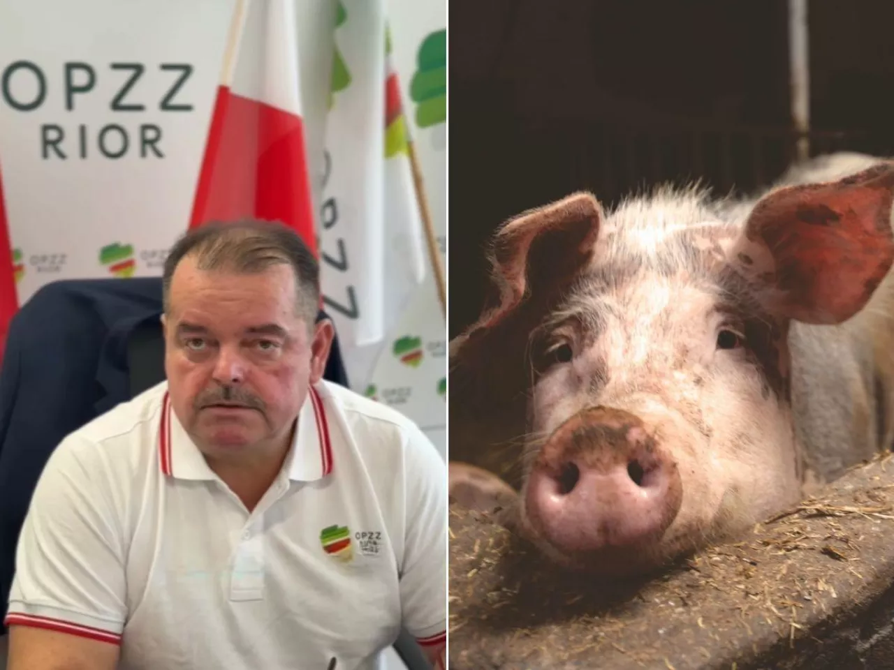 Izdebski o wydatkach na bioasekurację 