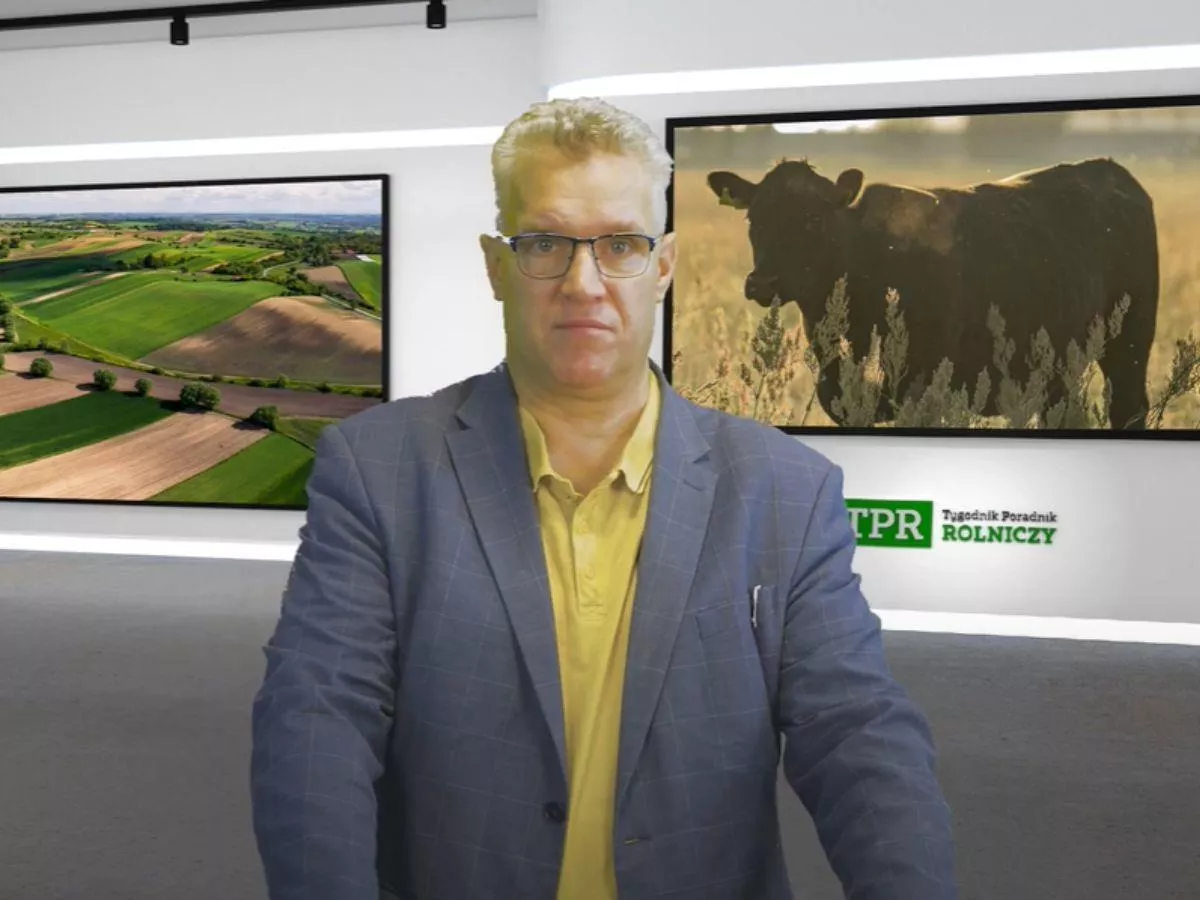 Zakaz mięsa w szkolnych stołówkach? Tak mają wyglądać obiady od 2026 roku