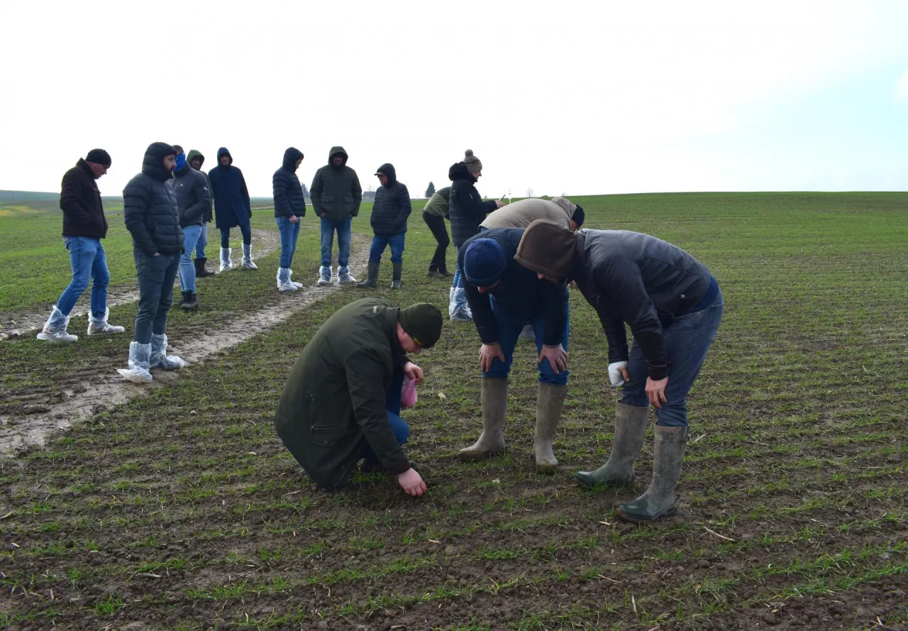 Ten rok pokazał, że potrzebujemy w gospodarstwach maszyn, które mają wysoką wydajność żeby jak najlepiej wykorzystać krótkie okna pogodowe