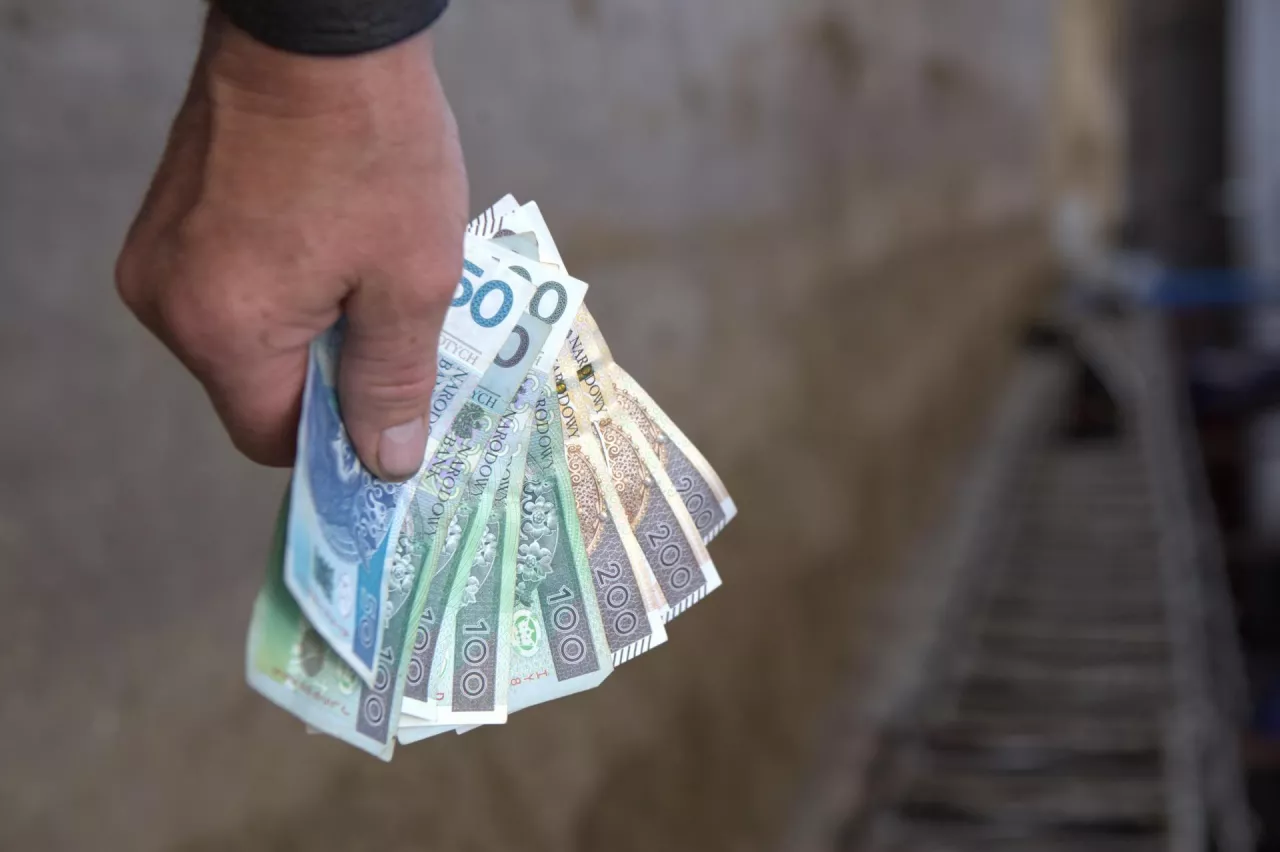 Renta socjalna jest świadczeniem z zakresu zabezpieczenia społecznego, przyznawanym na zasadzie solidaryzmu, powszechnym i jednolitym pod względem wysokości.